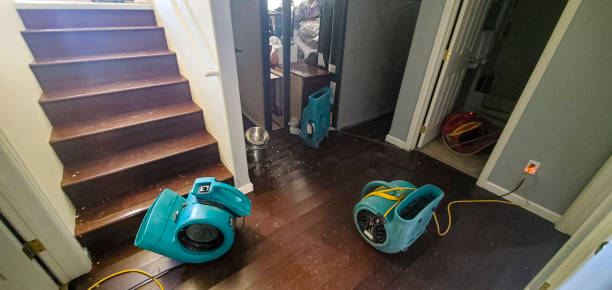 Water damage restoration experts in IN