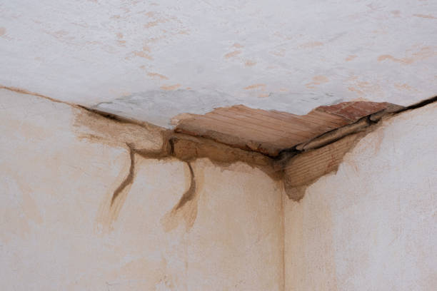 Best Flooded house restoration  in Washgton, IN