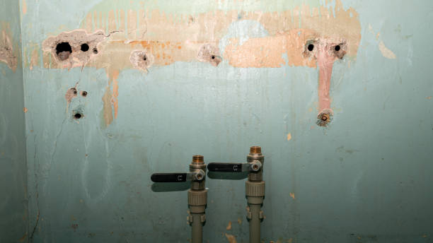 Best 24-hour water damage restoration  in Washgton, IN