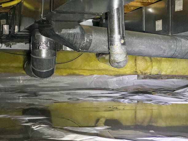 Best Carpet water damage restoration  in Washgton, IN