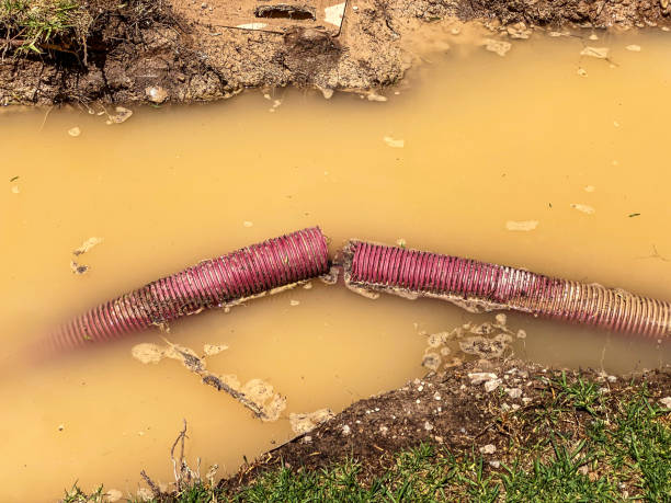 Best Flood damage cleanup  in Washgton, IN